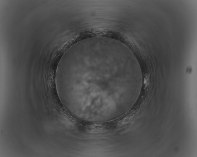 X0000091540867200708241731