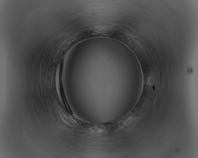 X0000091540868200708241731
