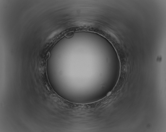 X0000091540869200708241731