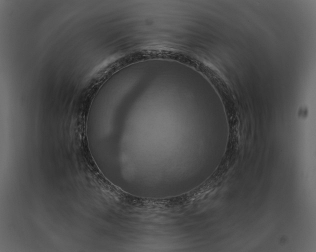 X0000091540870200708241731