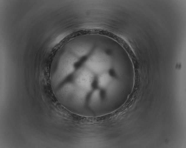 X0000091540871200708241731