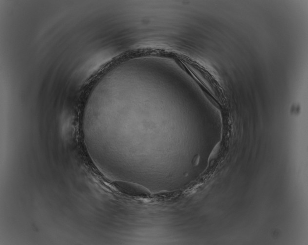 X0000091540872200708241731