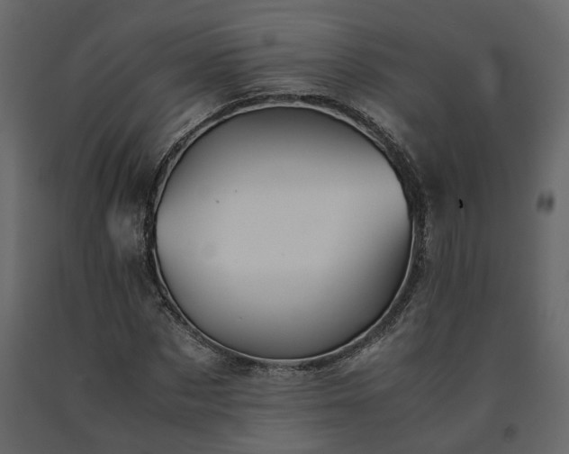X0000091540873200708241731