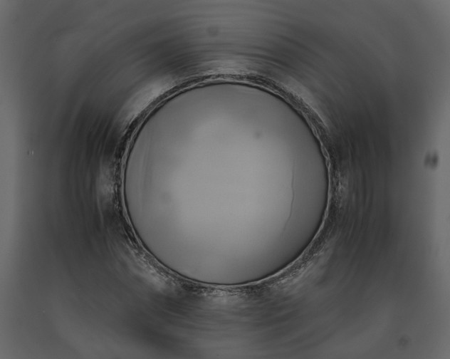 X0000091540874200708241731