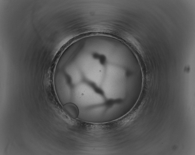X0000091540875200708241731