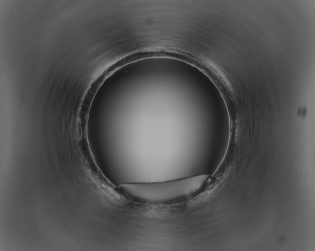 X0000091540876200708241731