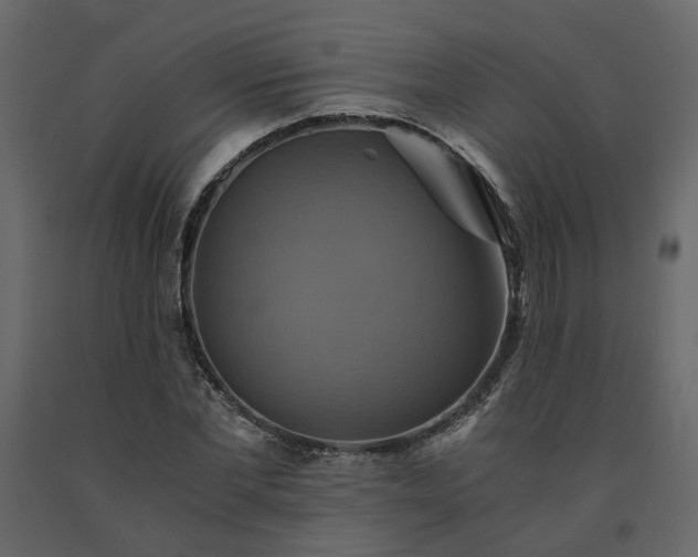 X0000091540877200708241731