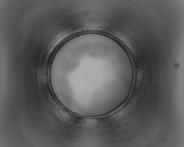 X0000091540878200708241731