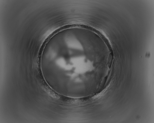 X0000091540879200708241731