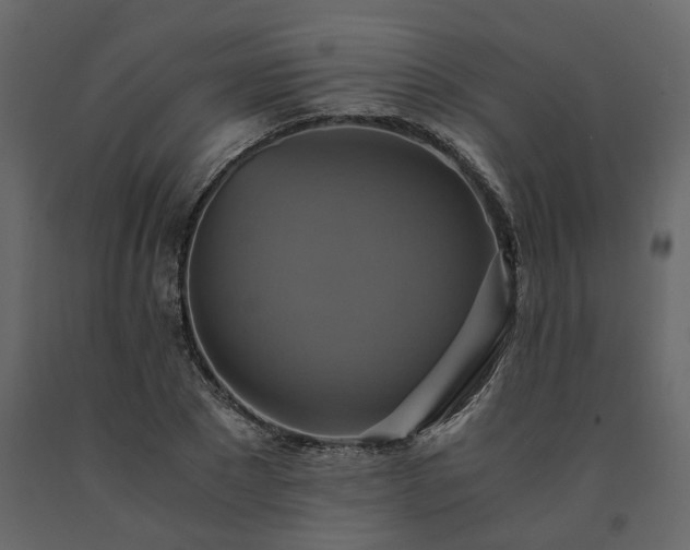 X0000091540881200708241731
