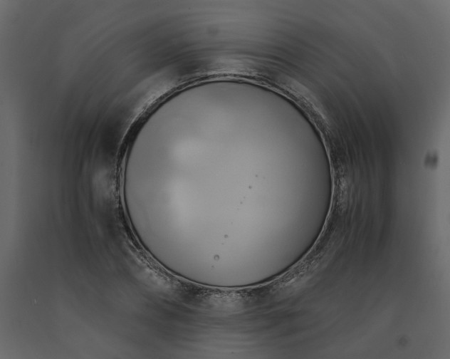 X0000091540882200708241731