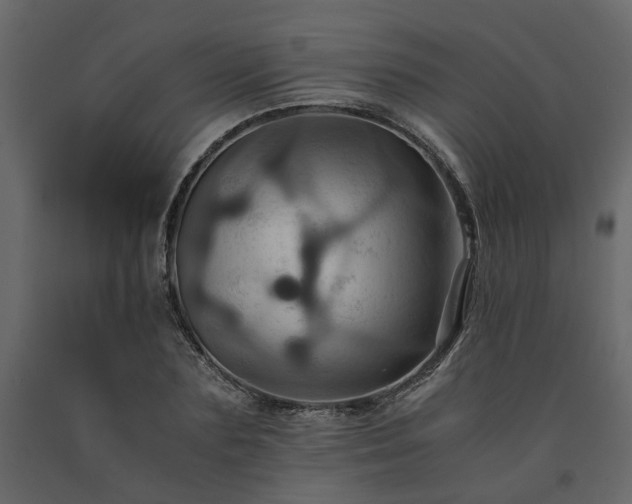 X0000091540883200708241731