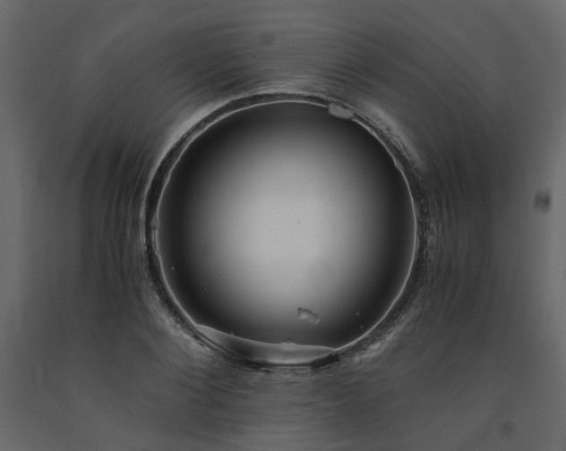 X0000091540884200708241731