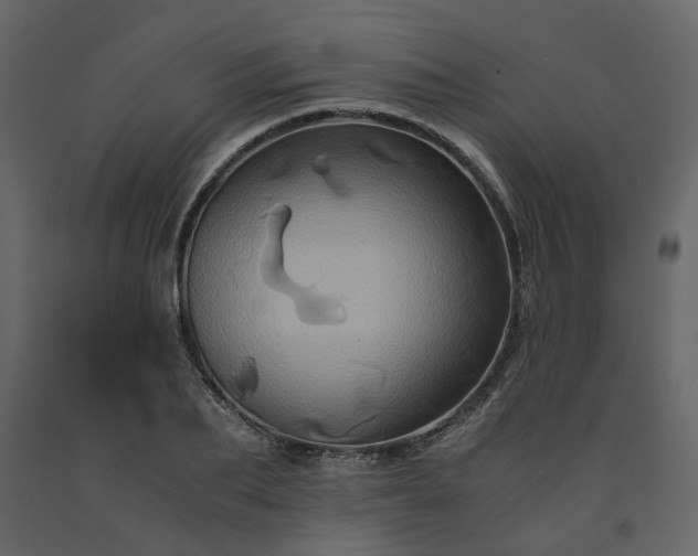 X0000091540887200708241731
