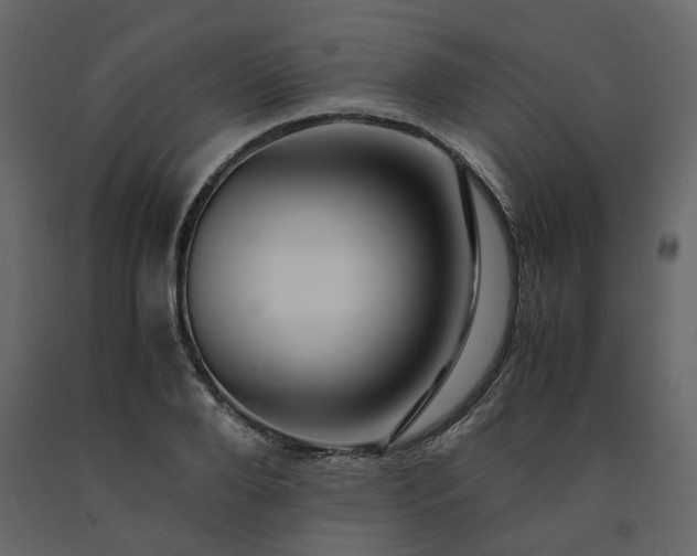 X0000091540888200708241731