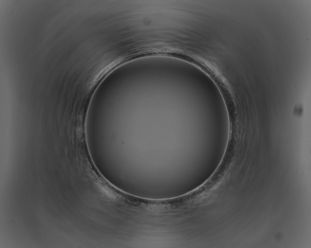 X0000091540889200708241731