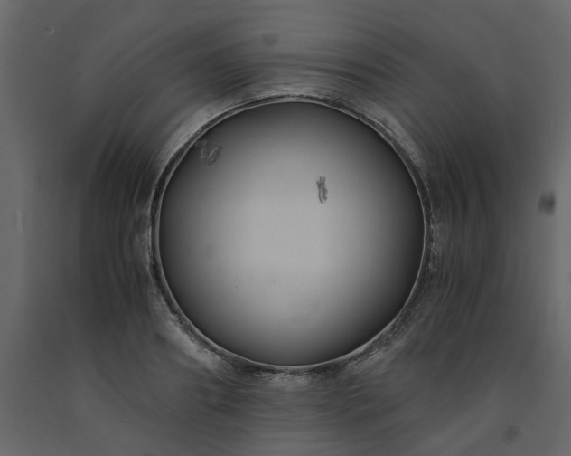 X0000091540890200708241731