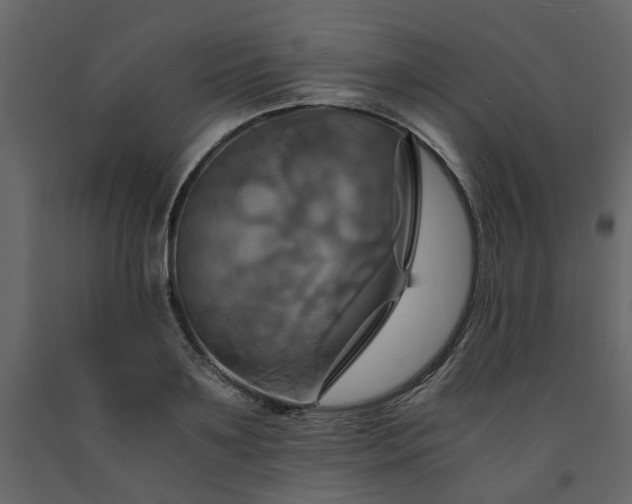X0000091540891200708241731