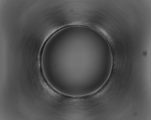 X0000091540892200708241731