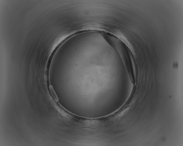 X0000091540893200708241731