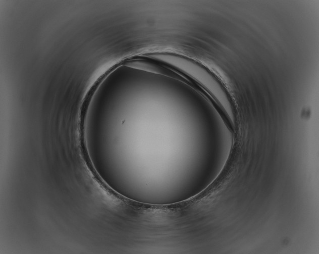 X0000091540894200708241731