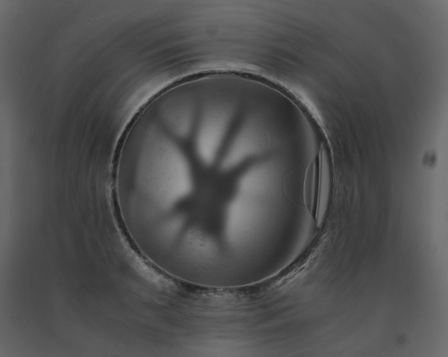 X0000091540895200708241731