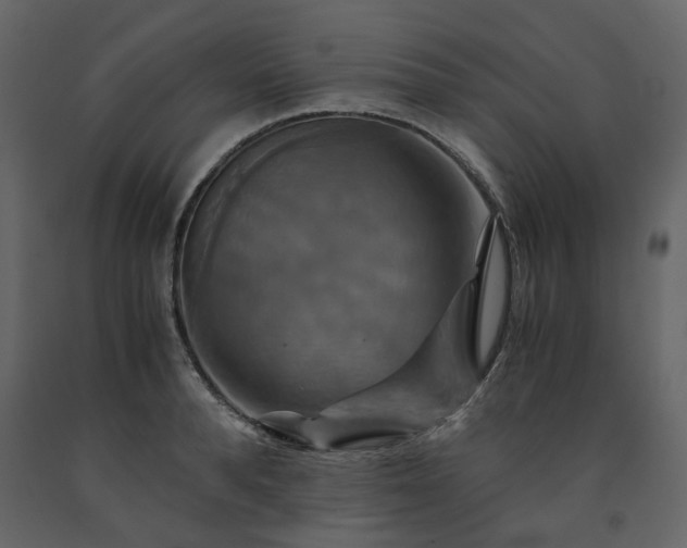 X0000091540896200708241731