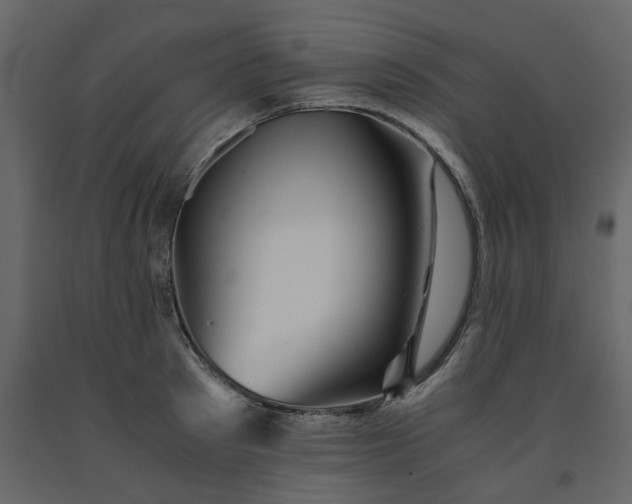 X0000091540897200708241731