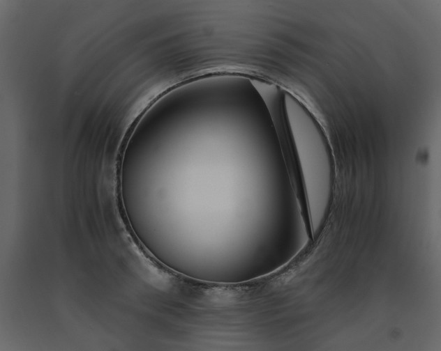 X0000091540898200708241731