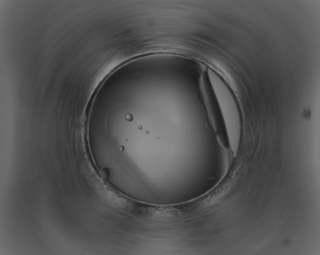 X0000091540899200708241731