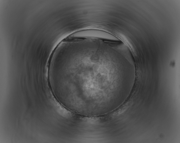 X0000091540900200708241731