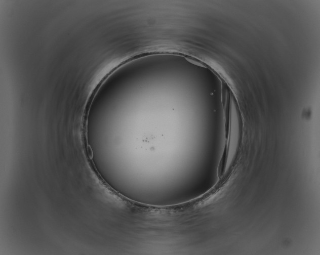 X0000091540901200708241731