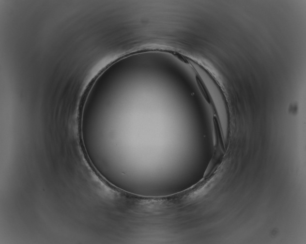 X0000091540902200708241731