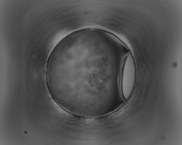 X0000091540903200708241731