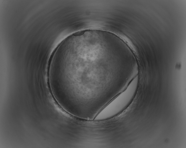 X0000091540904200708241731