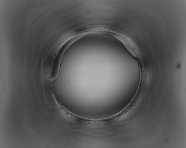 X0000091540905200708241731