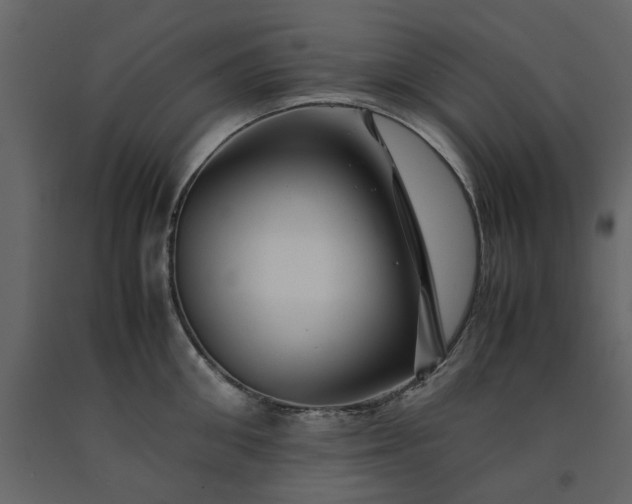 X0000091540906200708241731