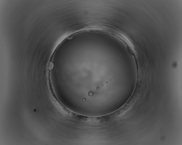 X0000091540907200708241731