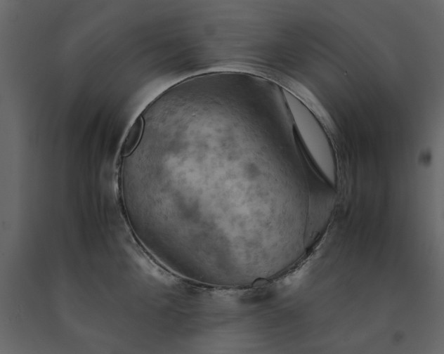 X0000091540908200708241731