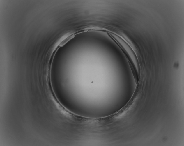 X0000091540909200708241731
