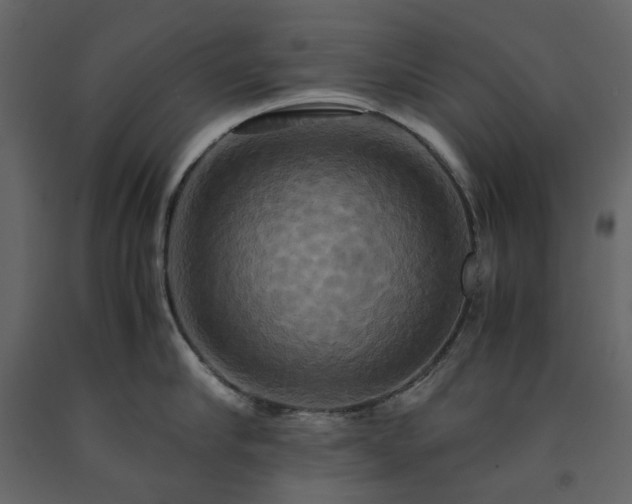 X0000091540910200708241731