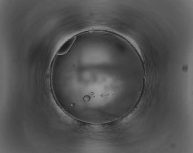 X0000091540911200708241731