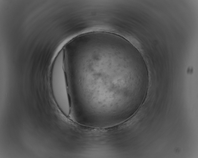 X0000091540912200708241731