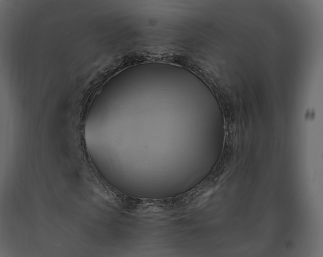 X0000091540913200708241730