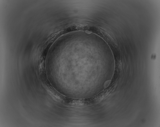 X0000091540914200708241730
