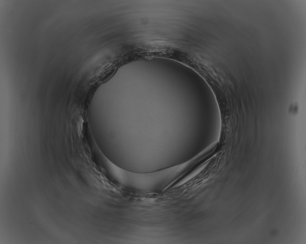 X0000091540916200708241730