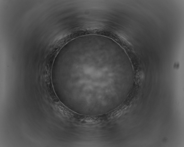 X0000091540917200708241730