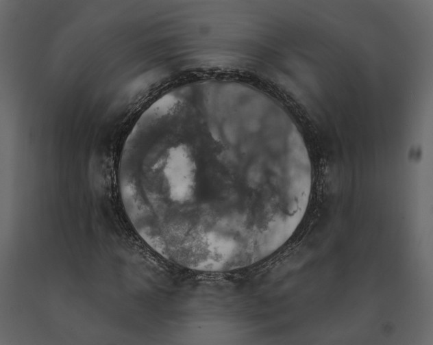 X0000091540918200708241730
