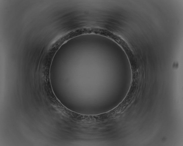 X0000091540919200708241730