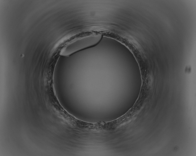 X0000091540920200708241730